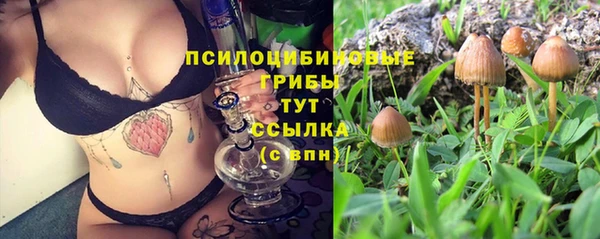 MESCALINE Вяземский