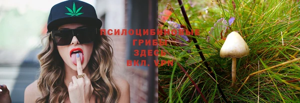 круглые Вязники