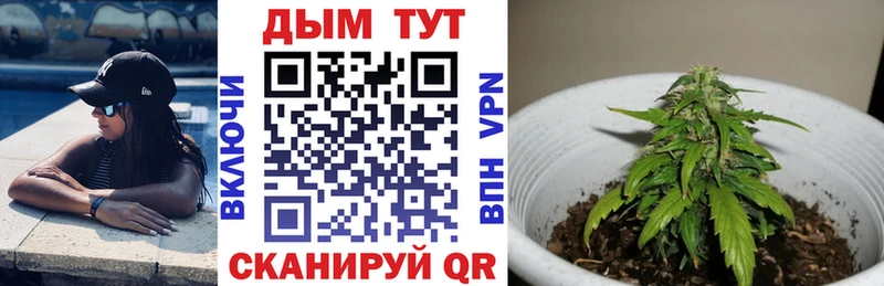 Купить где  Обоянь  Бошки марихуана план 